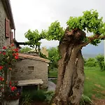 Сasa de vacaciones Agroturizam Nezic *