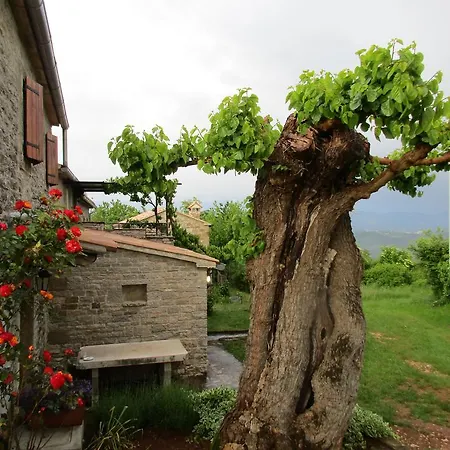 Casa de Férias Agroturizam Nezic *
